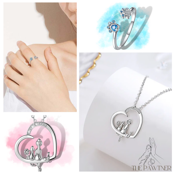 [Limited Quantity] 925 Sterling Silver Necklace + Ring Bundle